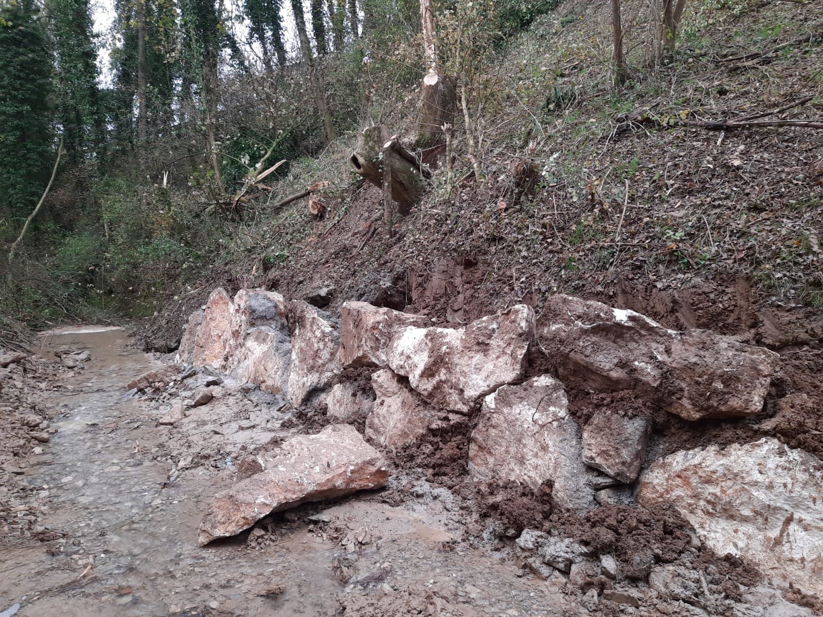 Scogliere in pietra naturale