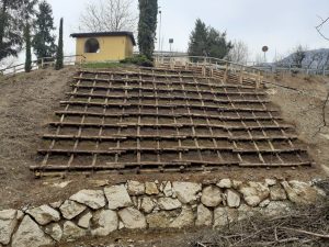 Grata viva su scarpata
